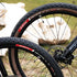 Vittoria Peyote XC Race